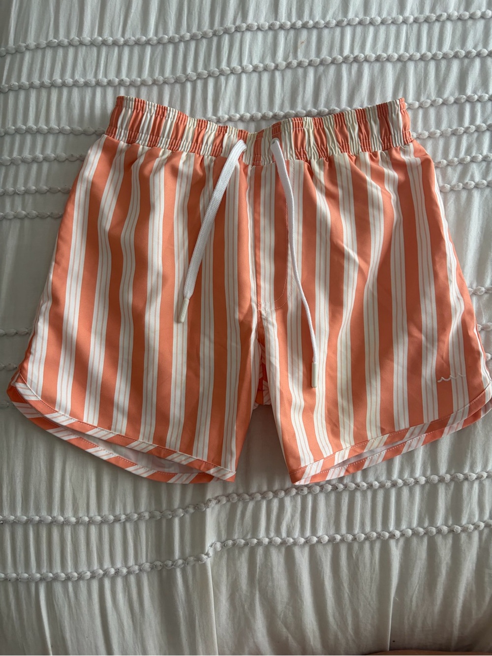 Minnow Striped Swim Trunks